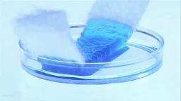 un verre de liquide bleu